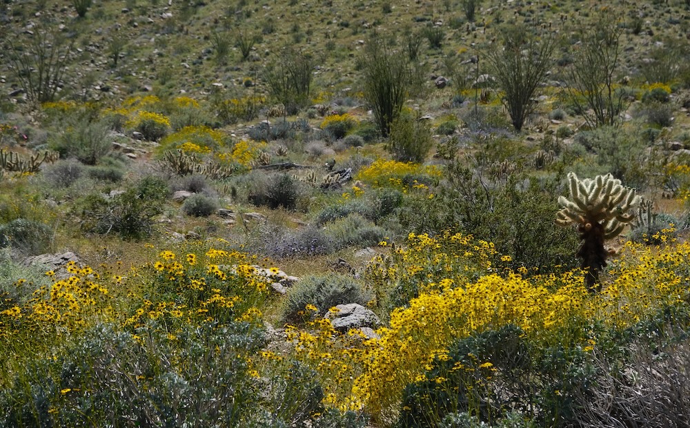 Hellhole Canyon